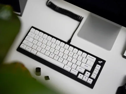 CannonCaps CXA BoW/WoB thumbnail 4