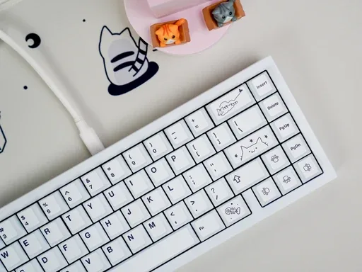 NicePBT Cat thumbnail 3