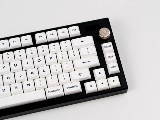 PBS Black on White thumbnail 4