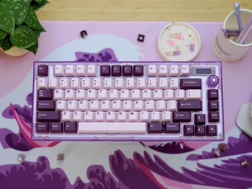 NicePBT Elderberry thumbnail 4