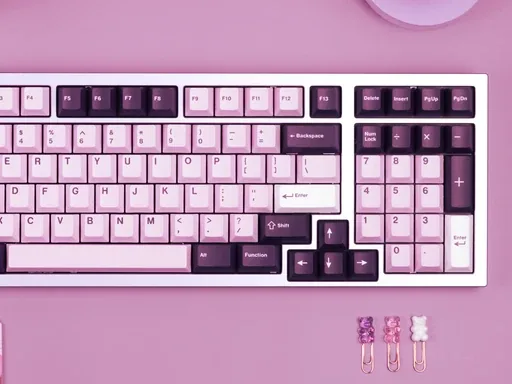 NicePBT Elderberry thumbnail 3