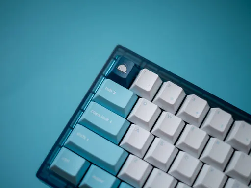 NicePBT Whale thumbnail 3