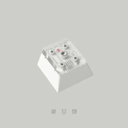 PBTfans X-Ray Keycap Set thumbnail 4