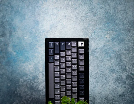 Seal PBT Keycaps V4 thumbnail 3