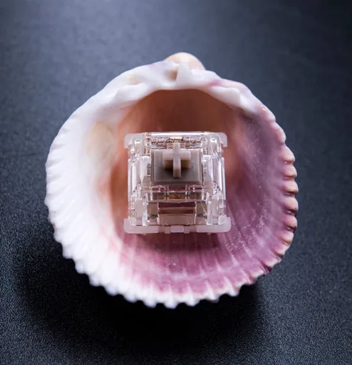 Gateron Baby Raccoon Linear Switch thumbnail 5