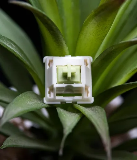 Eclair Green Linear Switches thumbnail 2