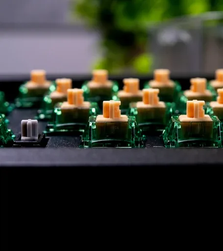Gateron Beer Tactile Switches thumbnail 5