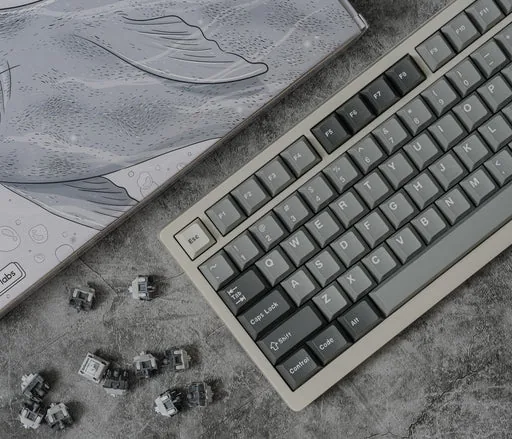 Seal PBT Keycaps V1 thumbnail 4