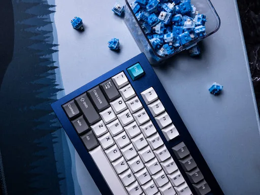 Grey, White, Blue PBT Keycaps thumbnail 2