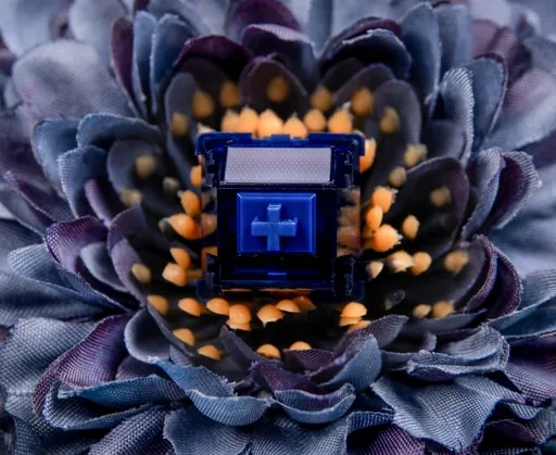 Durock Blue Lotus Tactile Switches thumbnail 3