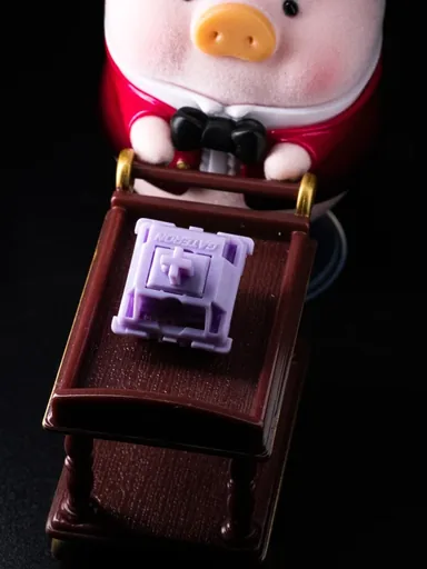 WS POM+ Linear Switches thumbnail 4