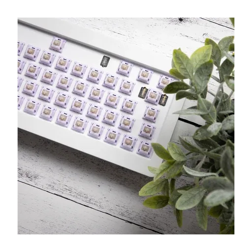 Hippo Linear Switches thumbnail 2