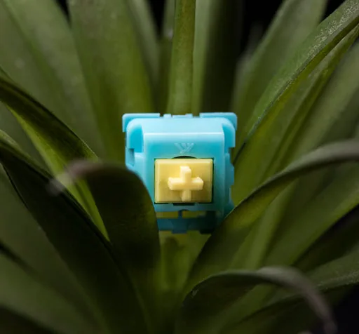 KTT Sea Salt Lemon Linear Switches thumbnail 5