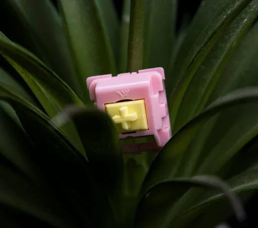 KTT Peach Linear Switches thumbnail 3