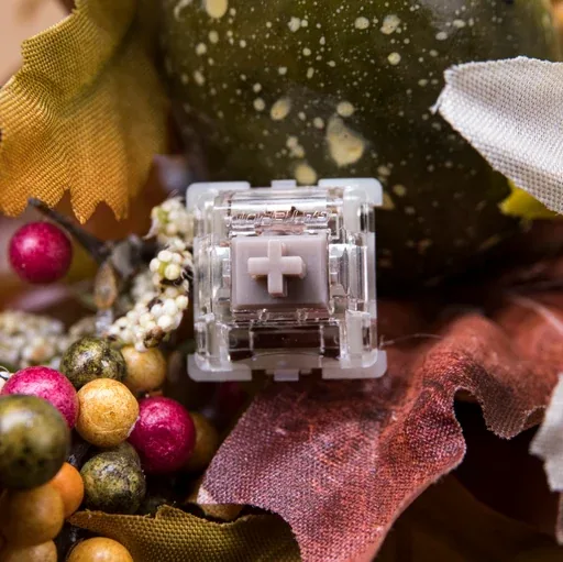 Gateron Baby Raccoon Linear Switch thumbnail 4