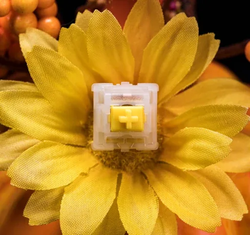 Gateron Cap V2 Switches thumbnail 3