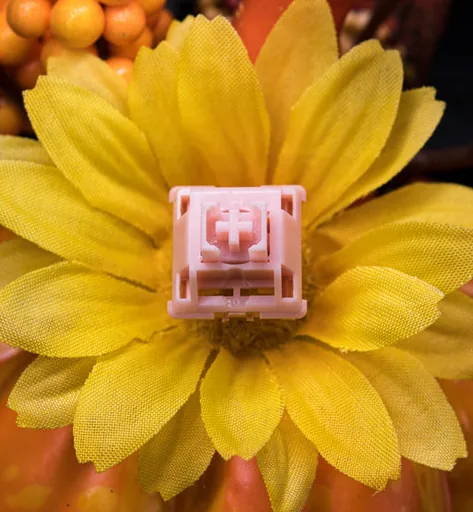 WS Aurora Linear Switches thumbnail 3