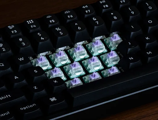 WS Dash HE Linear Switches thumbnail 2