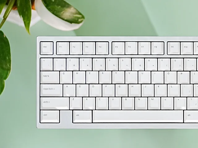 NicePBT Gray on White thumbnail 1