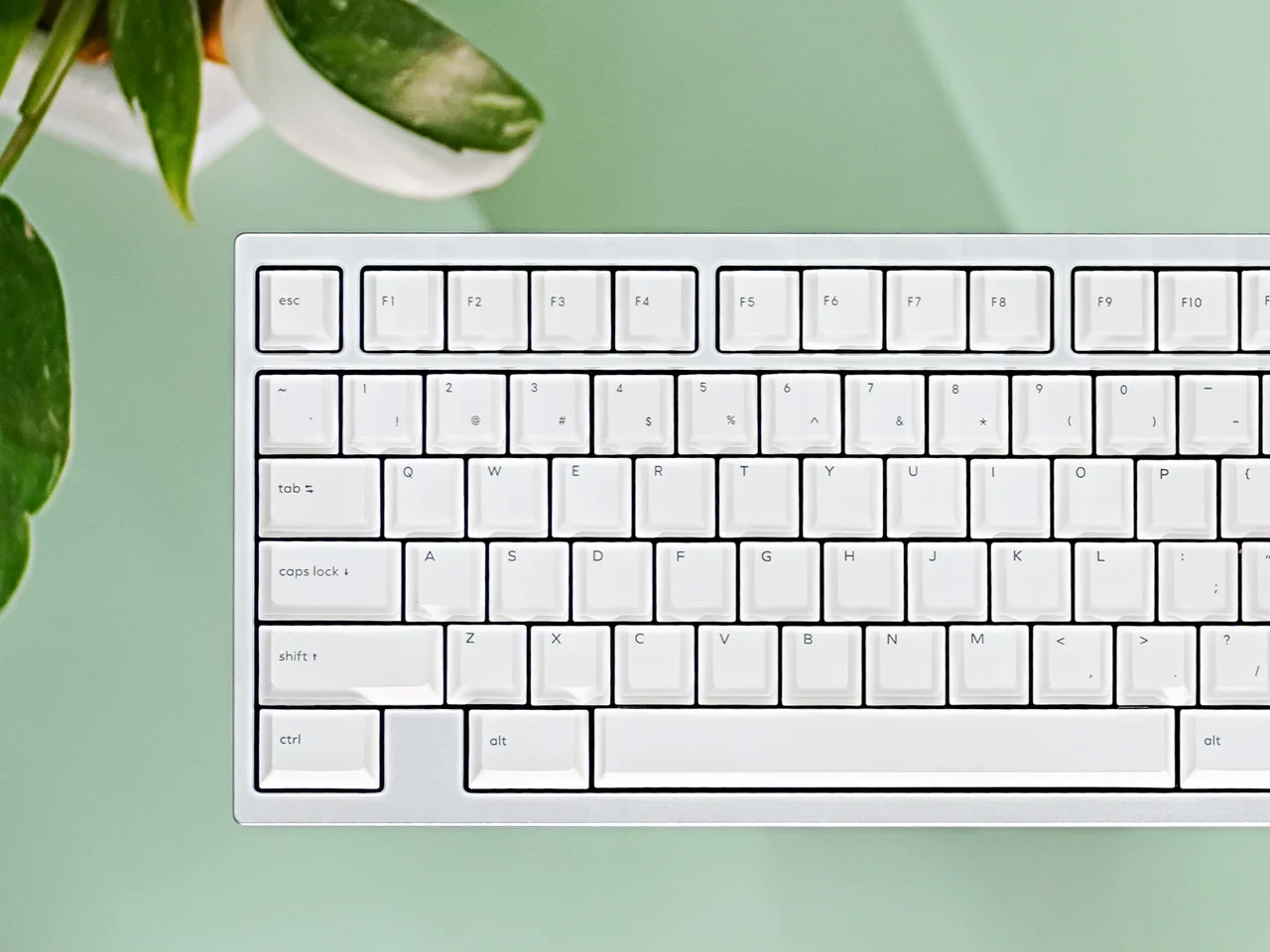 NicePBT Gray on White, image 1 of 5