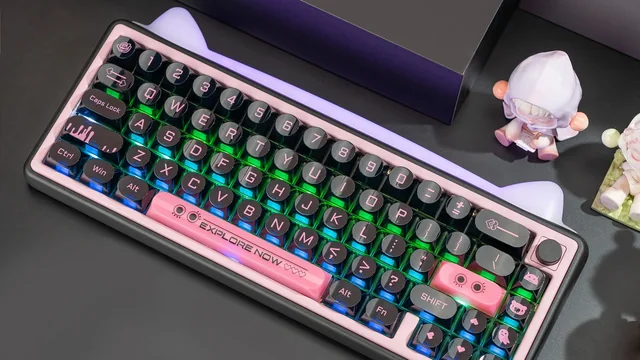 Chilkey Paw65 Assembled Edition thumbnail 5