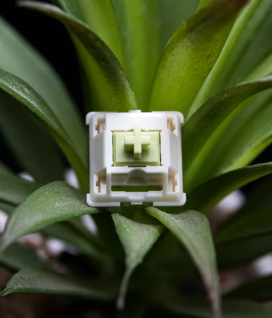 Eclair Green Linear Switches thumbnail 2