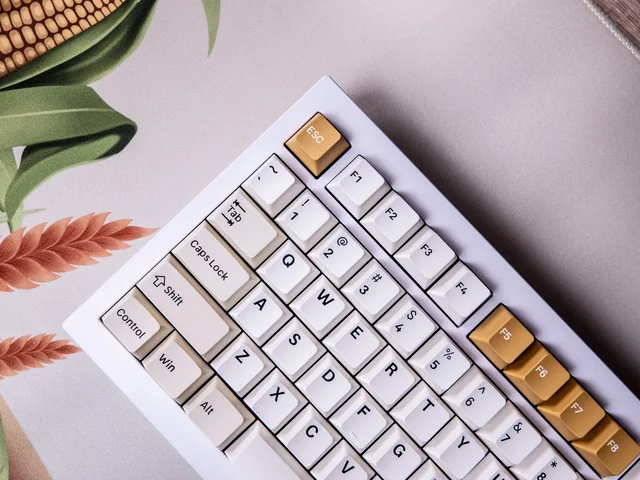 Camel PBT Keycaps thumbnail 3