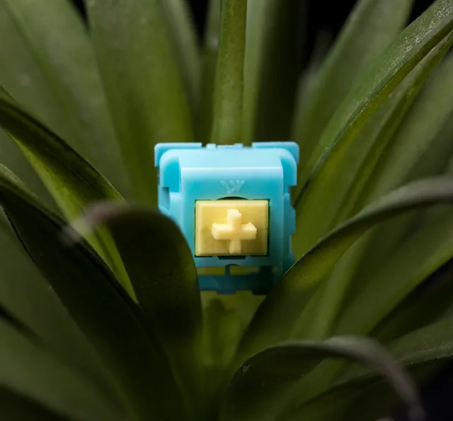 KTT Sea Salt Lemon Linear Switches thumbnail 5