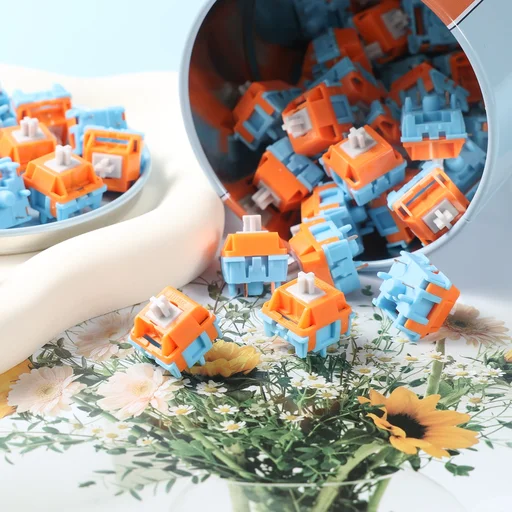 BCKeys×HMX Gulf Switches