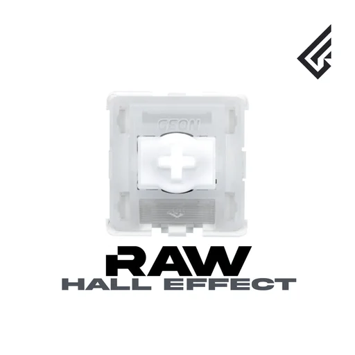 GEON Raw HE Magnetic Switches